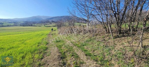 Atakum Yukariaksu'da Deniz Manzarali Düz Zemin Satılık Tarla