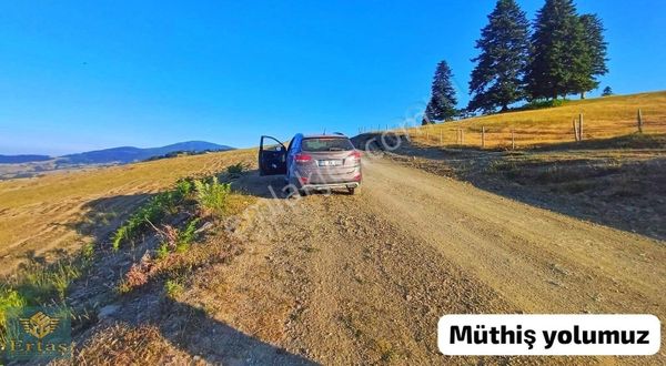 Ertaş'tan Alacam Yukarı Koçluda 2 Kat Ev Yapılır 3.476m2 Tarla