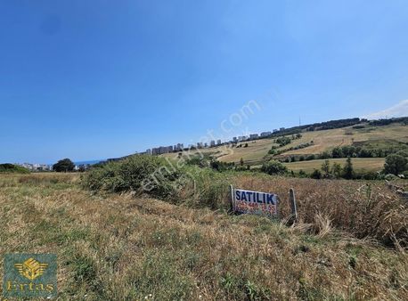 Ertaş'tan Kamalı'da Fırsat 1.159 M2 1,50 Emsal İmarlı Arsa
