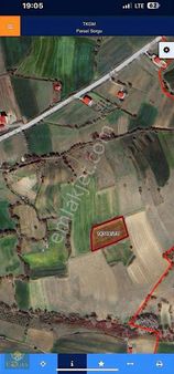 Ertaş Tan Çamlıyazıda Satılık 3785 M2 Tarla Emsallerinin Altında