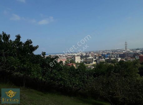 Ertaş'tan Tekkeköy Kutlukent Tarla Fiyatıne Arsa