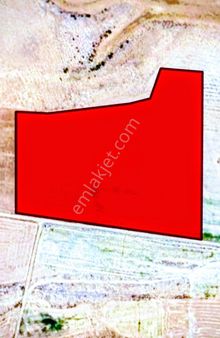 Sezenler Emlaktan Çumra Dinek Saray Mahallesi'nde Uygun Fiyata Satılık Tarla