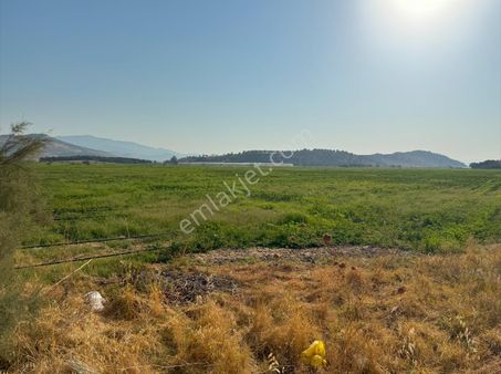 Merkez'den İzmir Dikili'de Tarla Sulama Kanalı-meraya Cepheli
