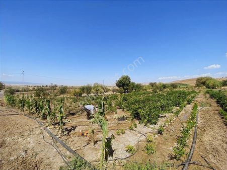 Yıldız Emlak'tan Satılık Kupon Arsalar