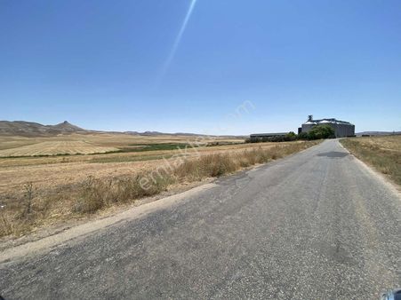 Yıldız Emlak'tan Doğankaş Köyünden Yola Sıfır Tarla Lar