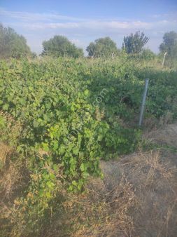 Kaçmaz Emlaktan Yeşilhisar Merkezde Bahçe Kaçmaz Fırsat Kupon Yer