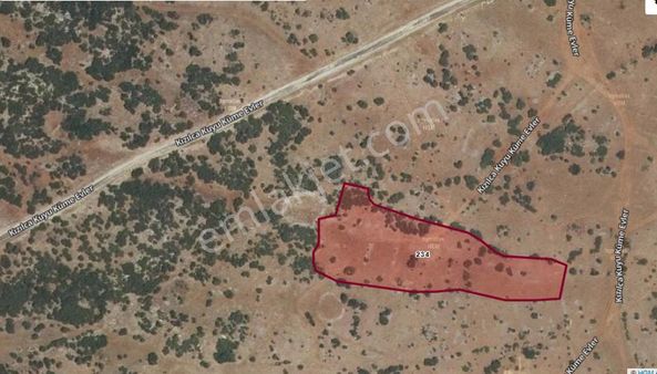 Tavas Derinkuyu'da Satılık Fırsat Fiyata Tarla