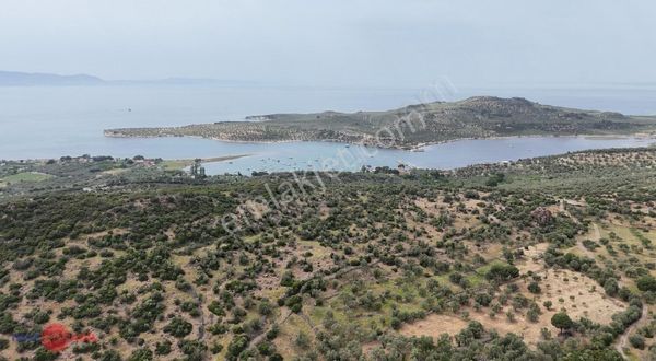 İzmir/dikili/bademli'de Full Deniz Ve Adalar Manzaralı Arsa