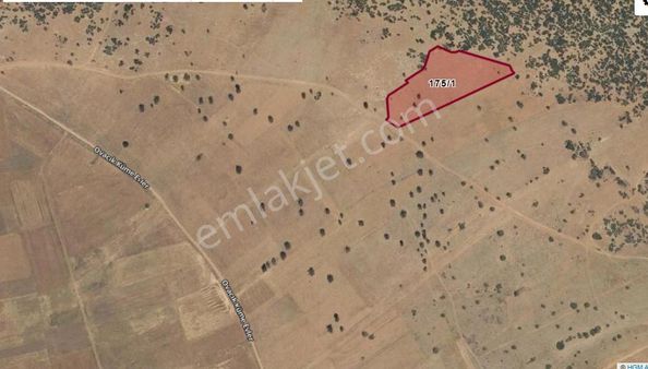 Tavas Ovacık'ta 8.019m2 Fırsat Satılık Tarla