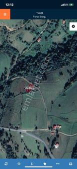 Emre Köse'den Alaçam Tepebölmesi'nde Yola Cephe Satılık Tarla