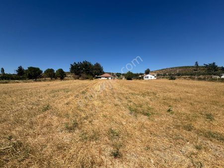 Kuzey Emlaktan Ana Yola Sıfır, 2 Evli, Havuzlu, Kuyulu Yatırımlık Tarla