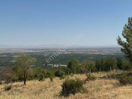 Birimden Satılık Sarayda Doğa Harikası