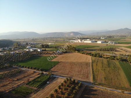 Milas Akyol'da- Resmi Elektrik / Su İçinde - 105m Resmi Yol Cepheli - 10.415 M2 Satılık Kupon Tarla