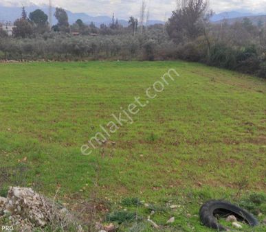 Seydikemer Menekşe Mah. Satılık %25-50 İmarlı Arsa