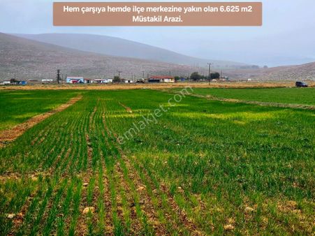 Afyonkarahisar Emirdağ Leylekli'de 6.625 M2 Köy İçinde Çok Uygun Tarla. Açıklamayı Okuyarak Arayınız