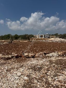 🌿 Hasanaliler'de Tarıma Uygun, Altyapısı Hazır Arsa Fırsatı! 🌿