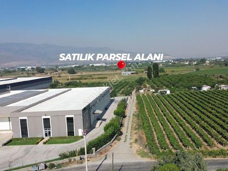 İzmir Menemen Merkez'de Satılık Tarla
