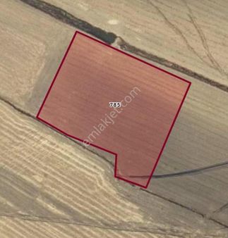 Gaziantep İslahiye Kozdere Nahallesinde Satılık Arsa