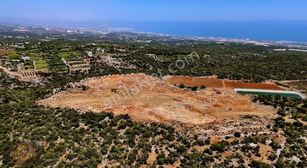 Kumkuyu Çanakcıda Satılık 32,500m2 İmar Sınırında Tarla