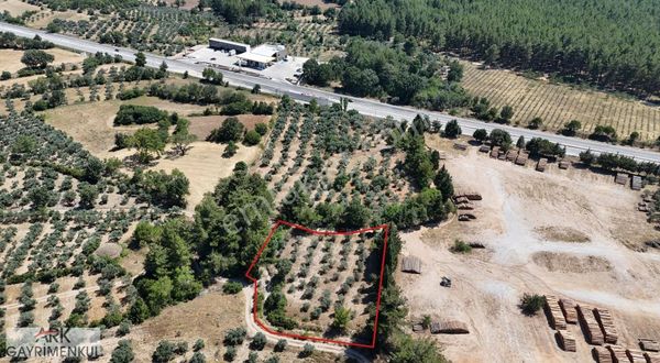 Yaraş'ta Satılık 1.785 M2 Satılık Anayola Yakın Zeytinlik