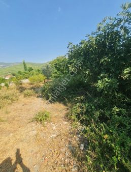 Ören Mh.1760 M2 İmarlı Satılık Tarla.