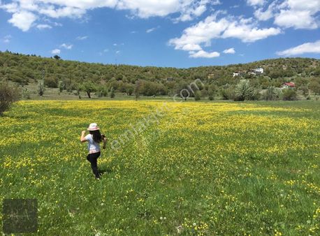 Rıza Acar'dan Çamlıdere Beyler Mah. 2+1 Ahsap Villa Site İçerisi