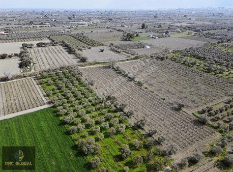 Manisa Evrenos Mah. Satılık 6214m² Arsa