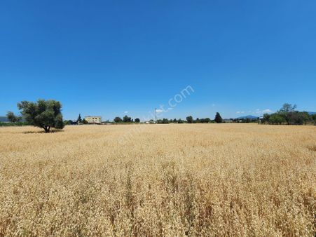 Remax Arma Menderes Görece Bölgesinde Satılık 12.237 M2 Arazi