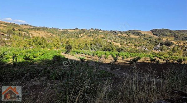 Yalova Altınova Ayazma Da Satılık Tarla İmara Yakın