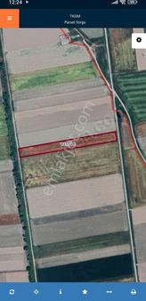 Aydın Yenipazar Alhan'da Satılık Tarıma Elverişli Tarla