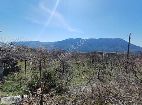 Degirmndere'de 2526 M2 Şeftali Bahçesi Ve İçerisinde 2 Katlı Ev