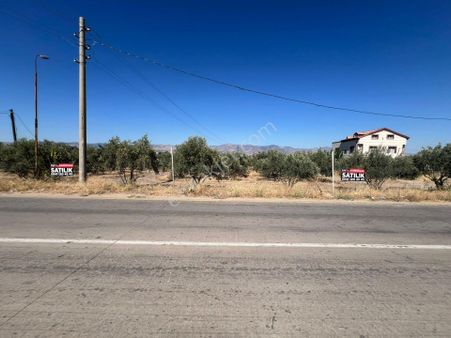 🏠rota Gayrimenkul’den Fatih Mahallesi’nde Tek Tapu Satılık Zeytinlik🏠