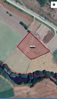 Ena Group Bursa Mudanya Hançerli'de 3700 M2 Satılık Tarla