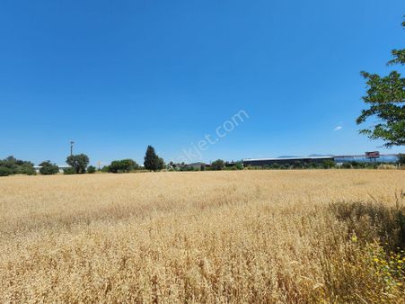 Remax Arma Menderes Görece Bölgesınde Satılık 22 489 M2 Arazı