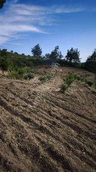 Tek Tapu Fuĺl Deniz Manzaralı Denize 6 Km.yol Su Elektrik Sorunu Olmayan Mustaki Parsel