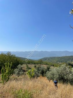 Emlakçe Gayrimenkulden Serdivan Aşağıdere Köyünde Satılık Hisseli Arsa