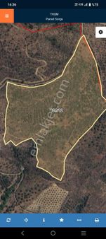 Ayvalık Özcan Emlaktan Gömeç Kobaşlar Köyünde Satılık Tarla Fıstık Çamlığı