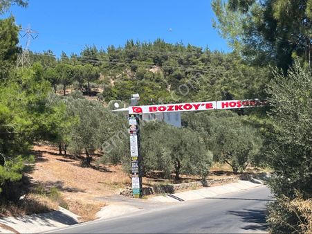 Torbalı Bozköy Mah 205mt2 Ata Mirasından Tarla Ve Zeytinlik