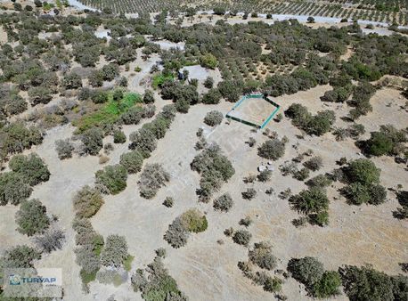 Menemen Emiralemde Satılık İmar Sınırında 325m2 Tarla