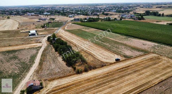 Real Estate Çatalca'dan İmara Sınır Kupon Tarla