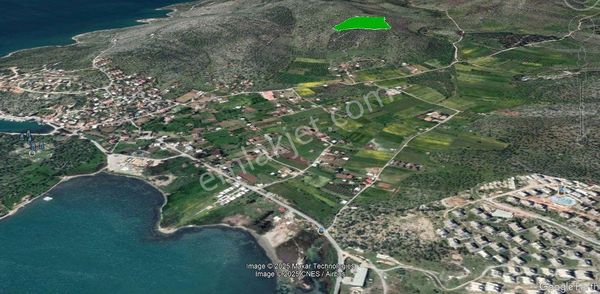 Mılas Kıyıkışlacık Denız Manzaralı Satılık Zeytınlık