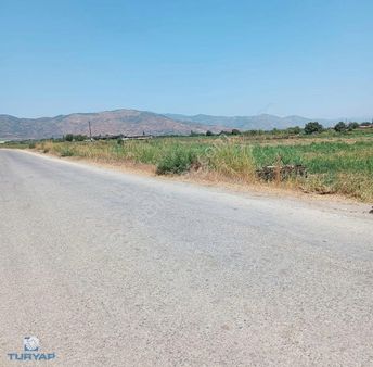 Turyap'tan Bayındır Yeşilova Köy İçinde 10.032 M2 Satılık Tarla