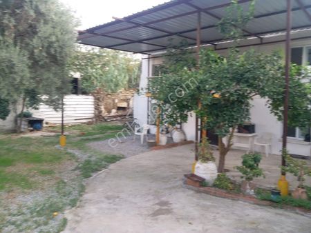 Muğla Milas Bafa Mah. Geniş Bahçeli 2+1 Dublex Satılık Müstakil Ev