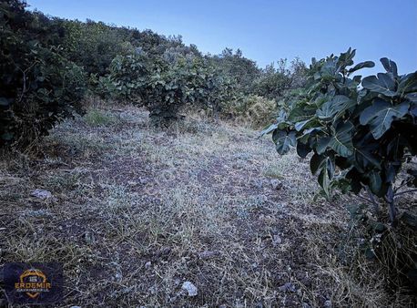 Bursa Osmangazi Avdancık Köyü'nde Satılık Tarla