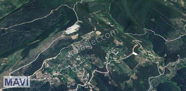 Remax Mavi'den Geyve Güney'de 2693 M2 Satılık Tarla