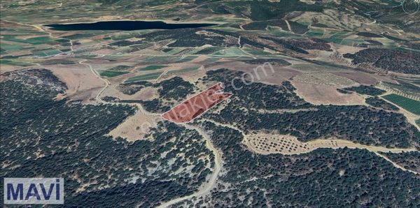 Remax Mavi Cansu Soy'dan Osmaneli'de 7590 M2 Satılık Tarla