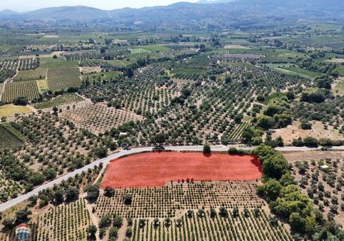 Çınarköyde 160 Metre Kadastral Yola Cepheli Fırsat Bahçe