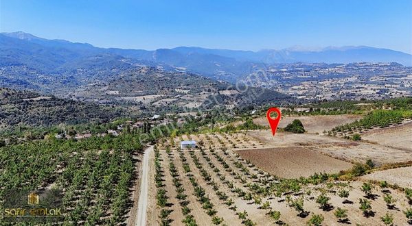 Cevizin Başkenti Konurlarda Suyu Yolu Olanköy Dibi Satılık Tarla