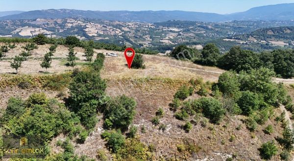 Cevizin Başkenti Konurlarda Suyu Yolu Olan Satılık Fırsat Tarla