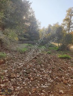Kurşunluda Sıcak Su Yolu Üzerinde Satılık Yatırımlık Tarla